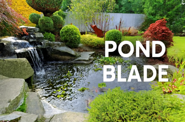 Flowing Elegance: Why a Pond Blade is Perfect for Your Garden